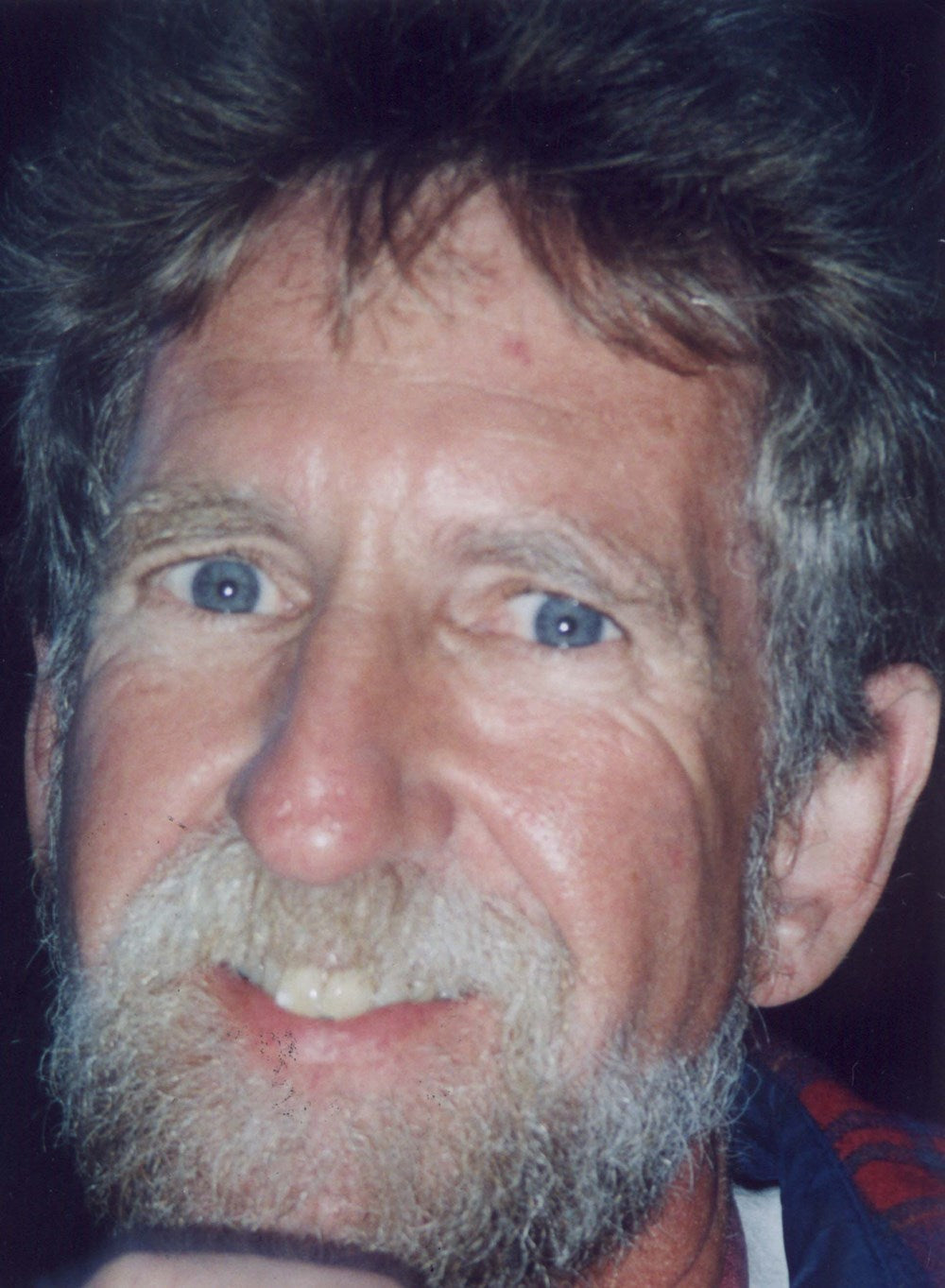 Froggy Goes to Hawaii