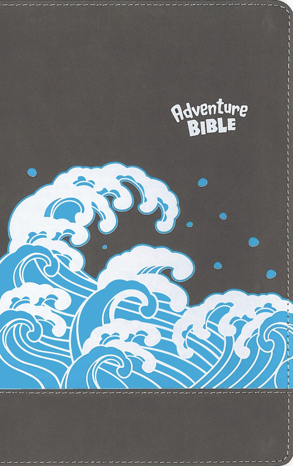 NIV, Adventure Bible, Leathersoft, Gray, Full Color Interior