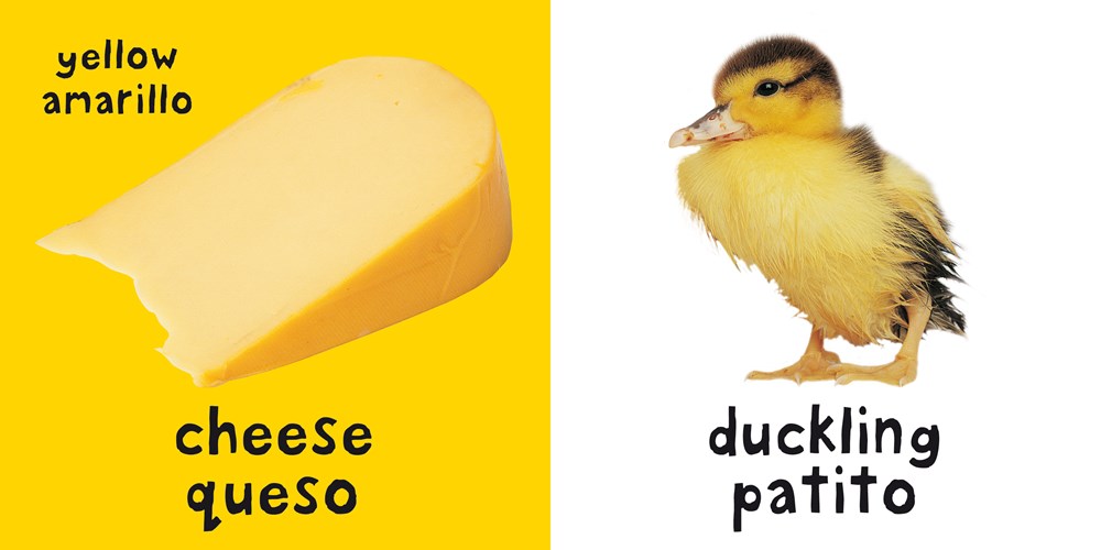 Bilingual Bright Baby: Colors / Colores