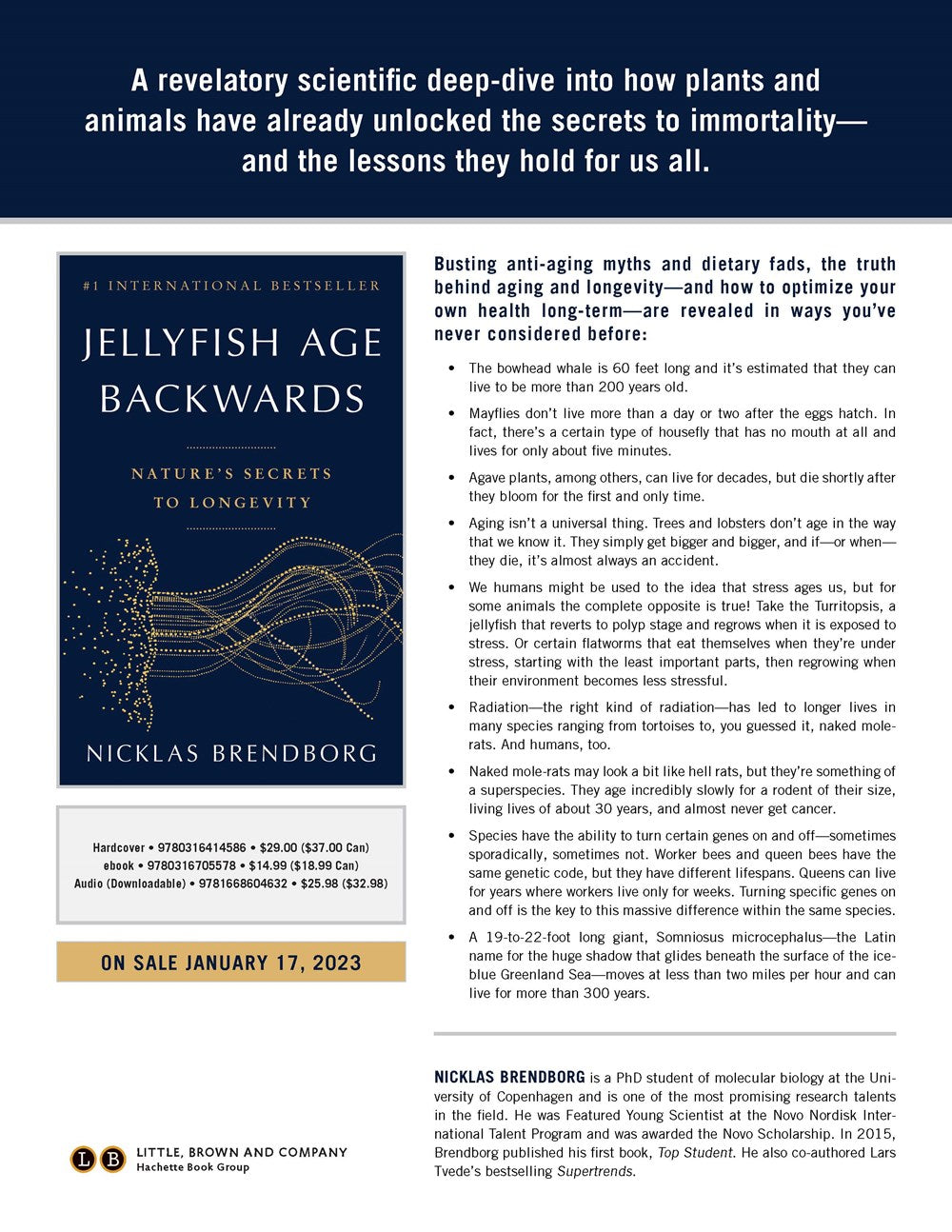 Jellyfish Age Backwards