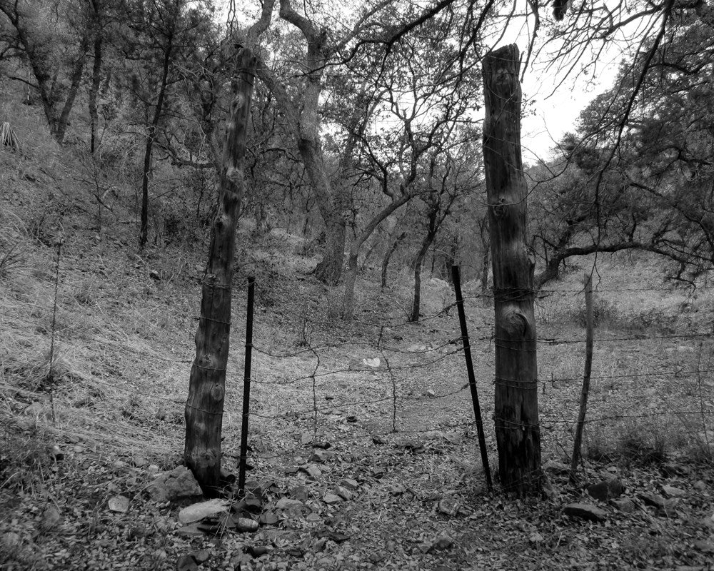 The Land of Open Graves