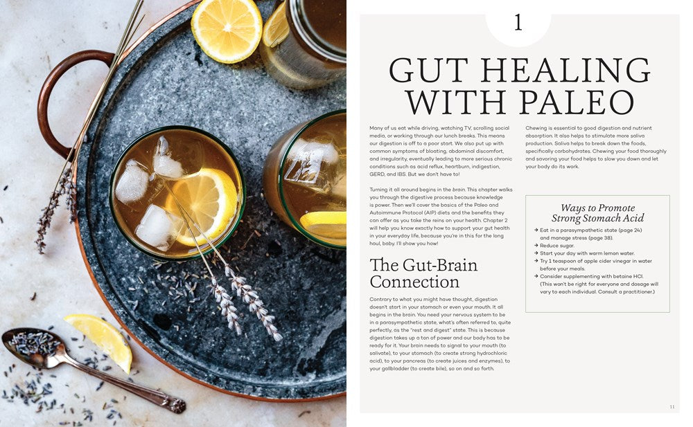 The Paleo Gut Healing Cookbook