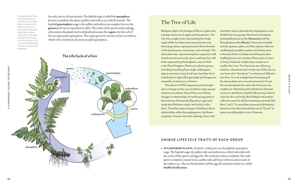 A Gardener's Guide to Botany