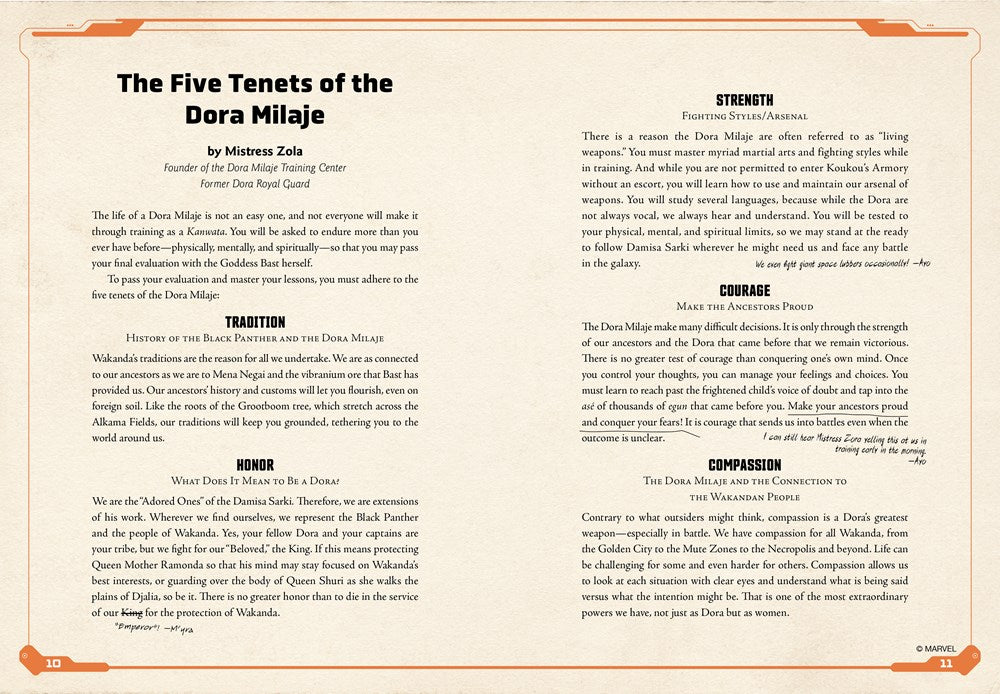 Black Panther: Protectors of Wakanda