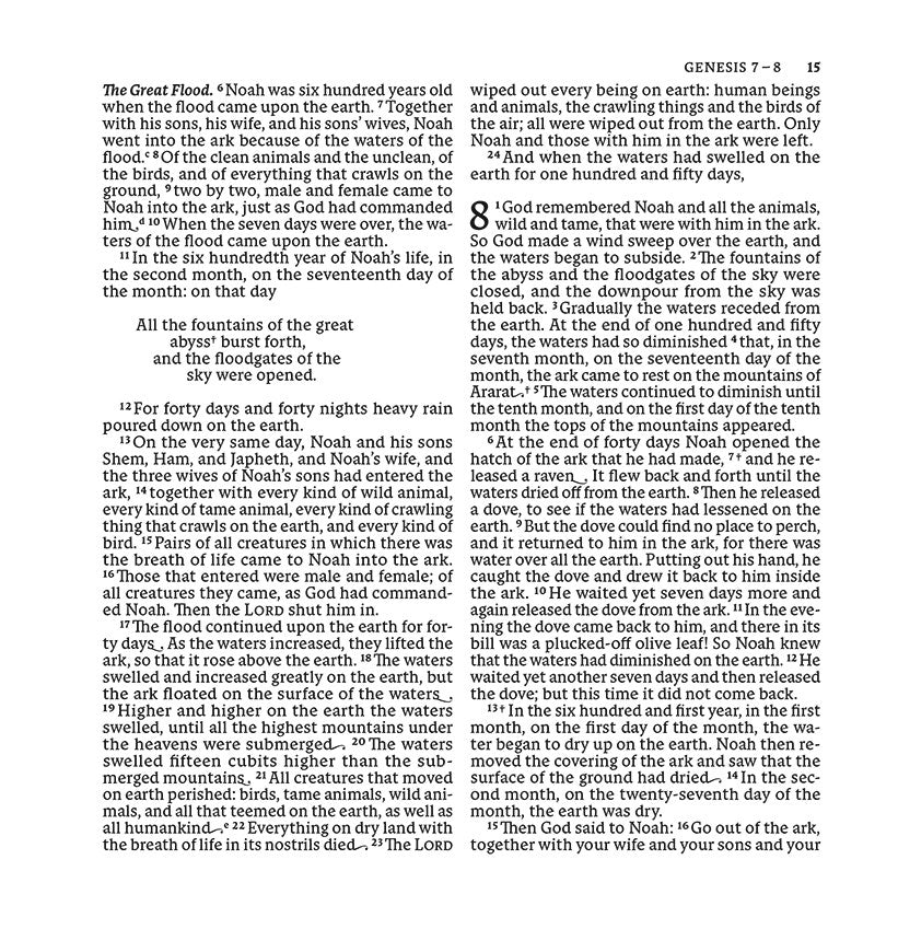 NABRE XL, Catholic Edition, Leathersoft, Burgundy, Comfort Print