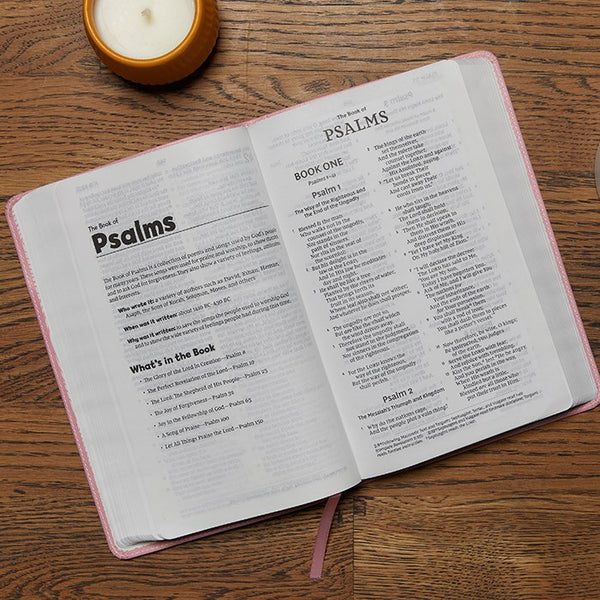 NKJV, Holy Bible for Kids, Verse Art Cover Collection, Leathersoft, Purple, Comfort Print