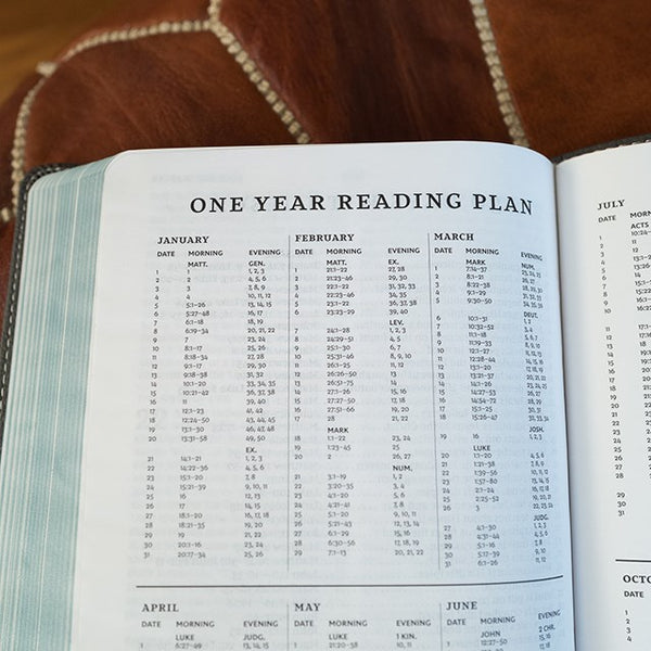 NKJV, Thinline Youth Edition Bible, Verse Art Cover Collection, Turquoise Leathersoft, Red Letter, Comfort Print