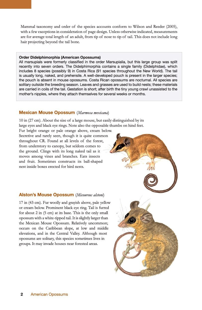 The Wildlife of Costa Rica