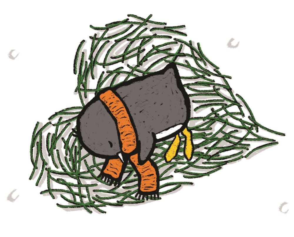 Penguin and Pinecone