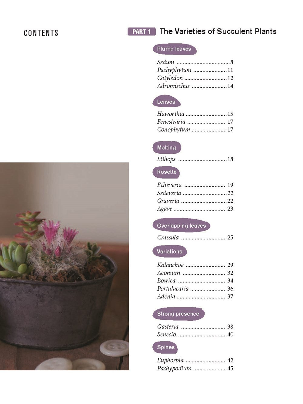 The Gardener's Guide to Succulents