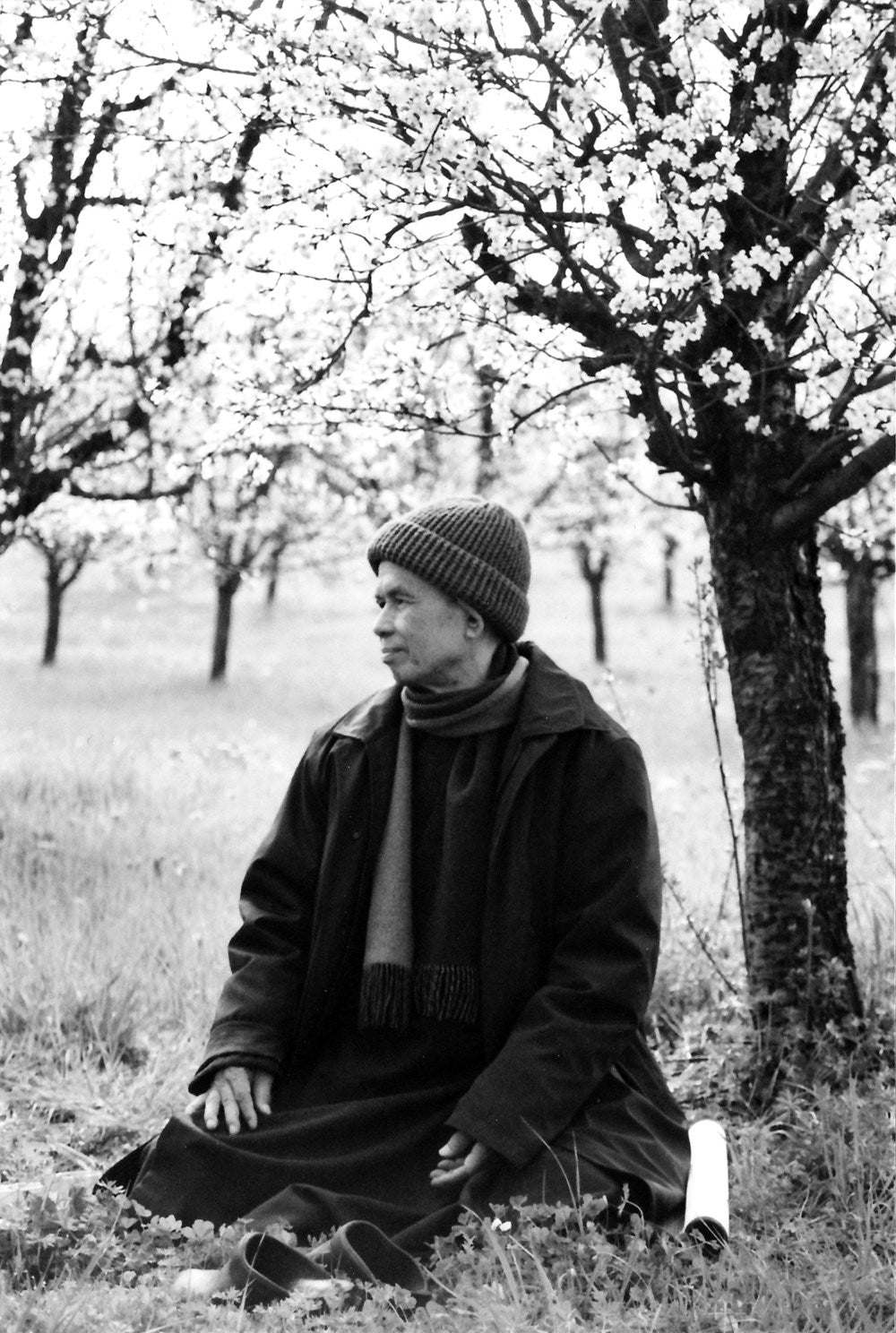 The Miracle of Mindfulness