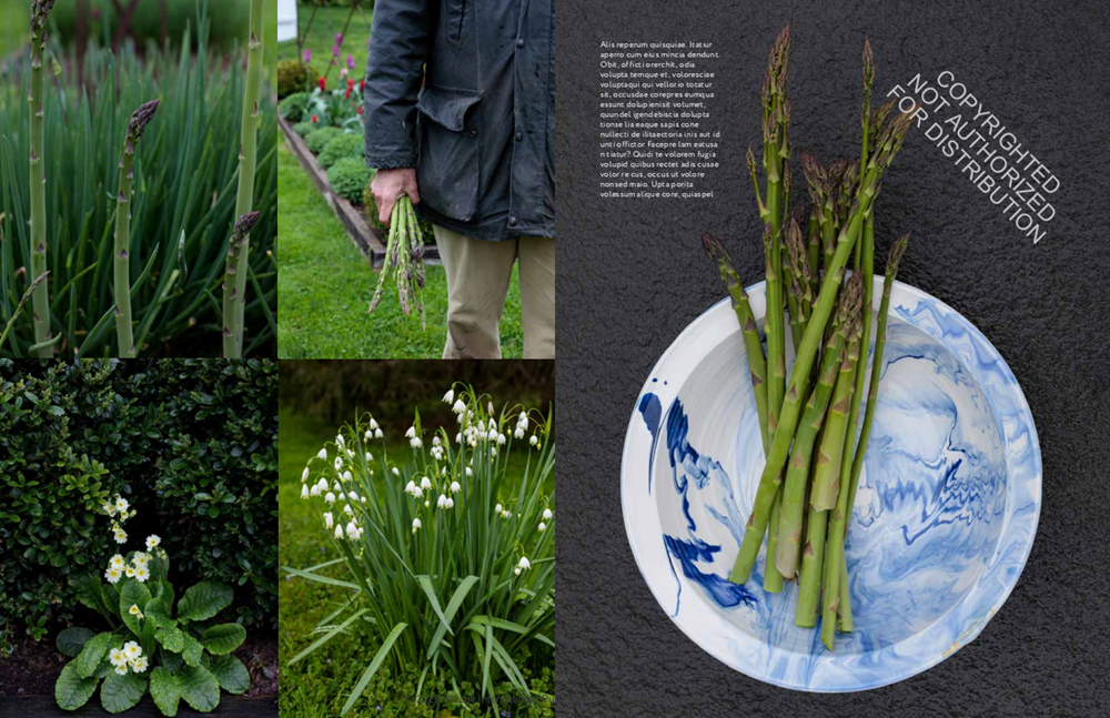 A Year at Clove Brook Farm