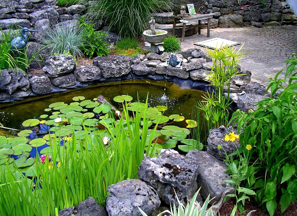Building Natural Ponds