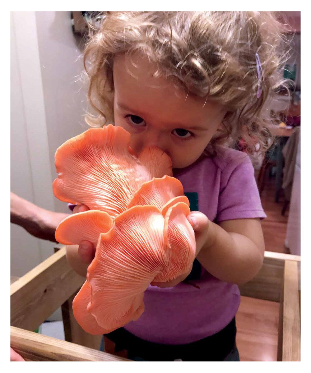 DIY Mushroom Cultivation