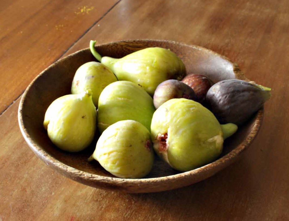 Growing Figs in Cold Climates