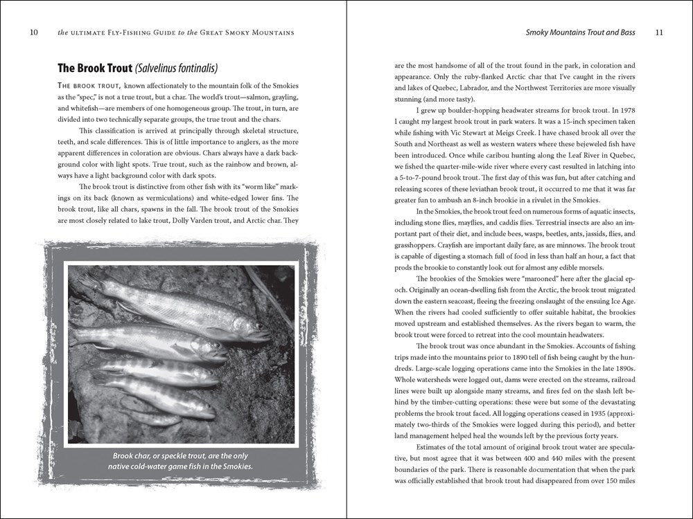 The Ultimate Fly-Fishing Guide to the Great Smoky Mountains