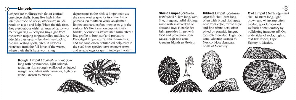 Pacific Intertidal Life