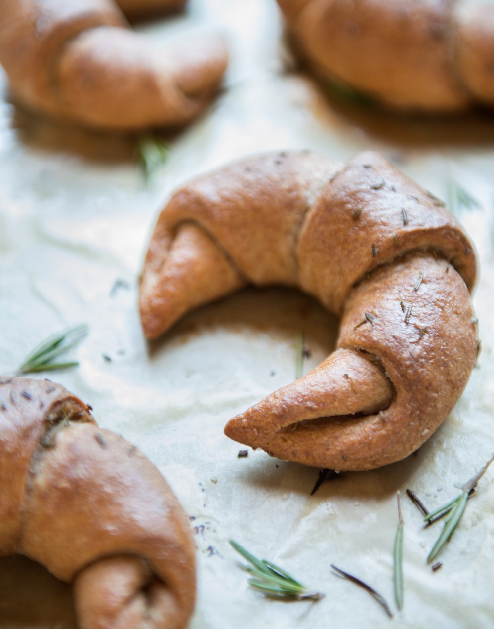 The Best of Artisan Bread in Five Minutes a Day