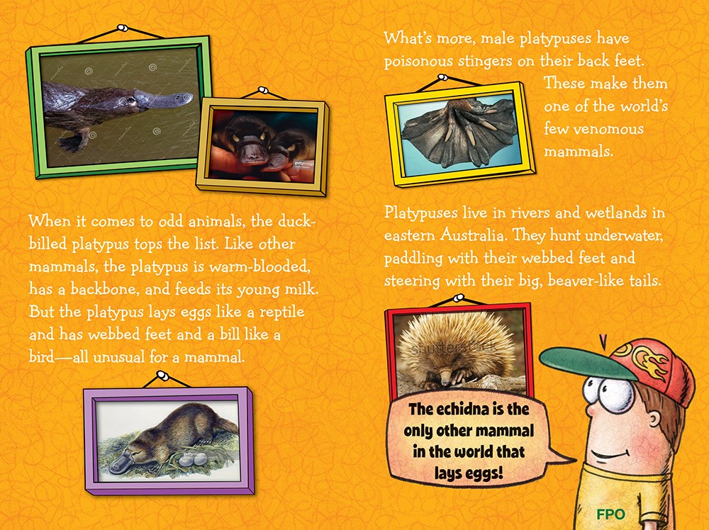 Fly Guy Presents: Weird Animals