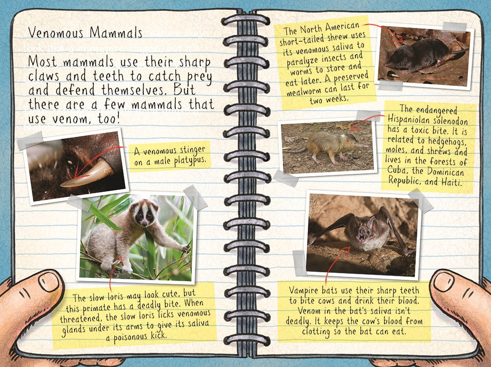 Fly Guy Presents: Weird Animals