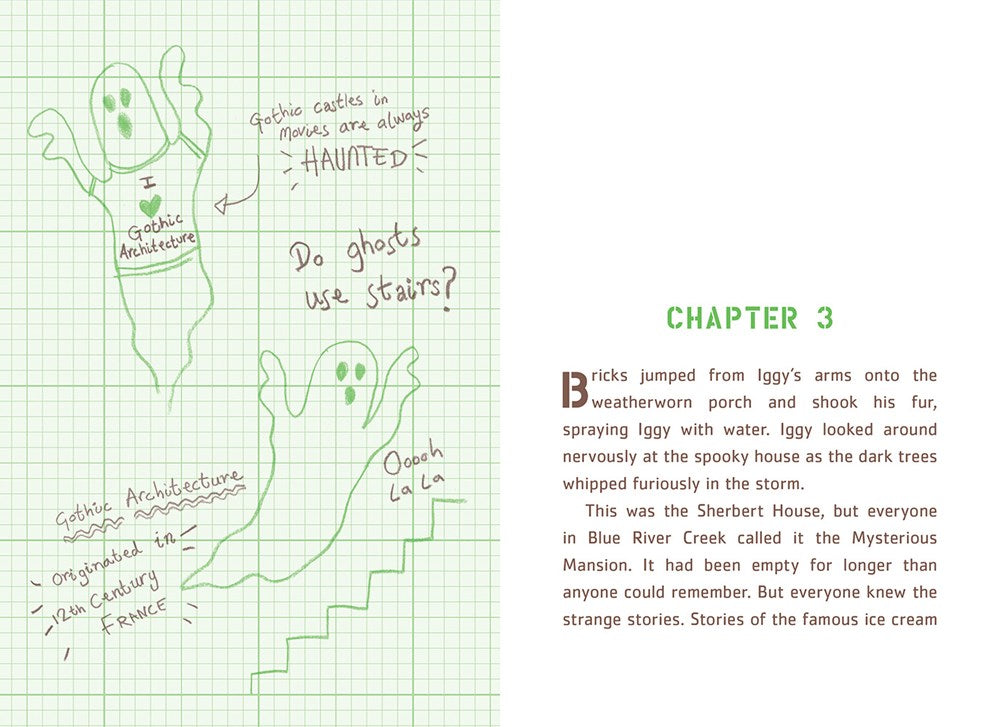 Iggy Peck and the Mysterious Mansion