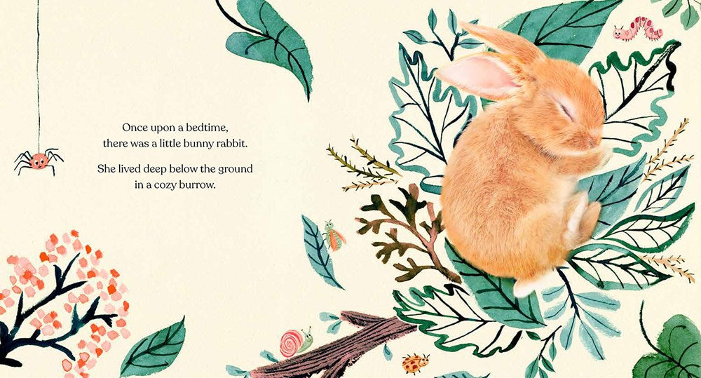 Goodnight, Little Bunny