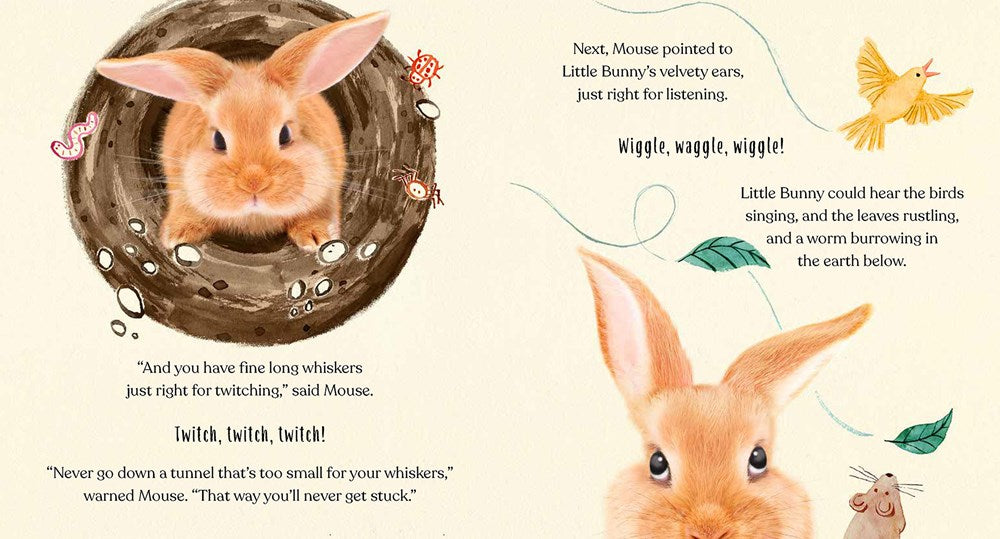 Goodnight, Little Bunny