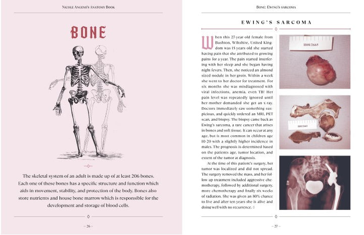 Nicole Angemi's Anatomy Book