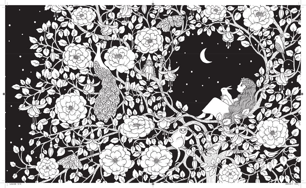 Luna Coloring Book
