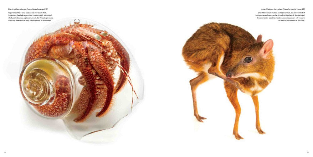 National Geographic Photo Ark Wonders