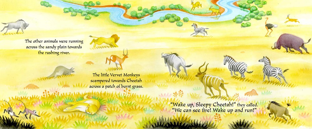 African Animal Tales: Sleepy Cheetah