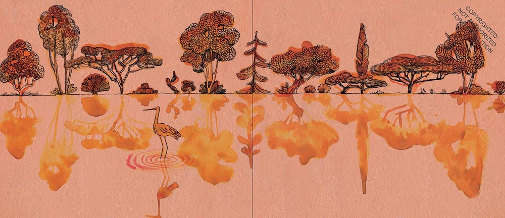 The Elephants Come Home