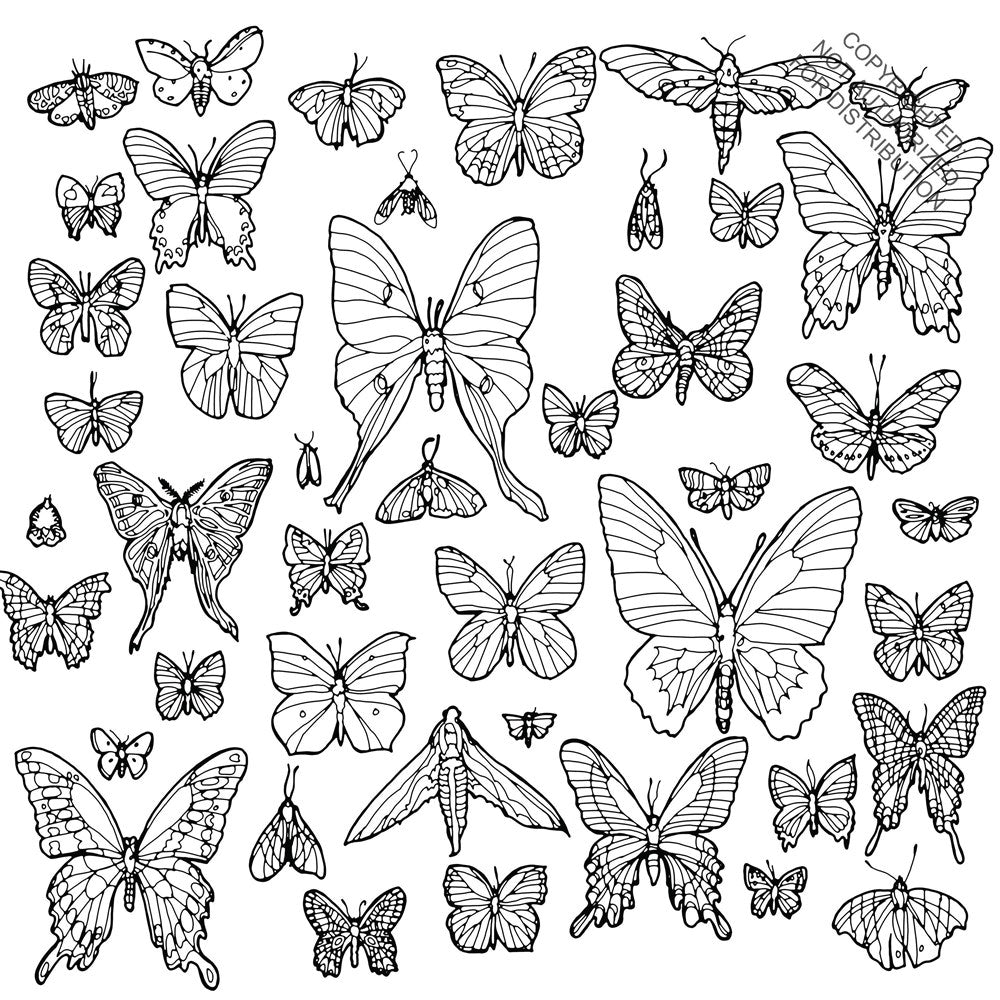 Fantastic Collections