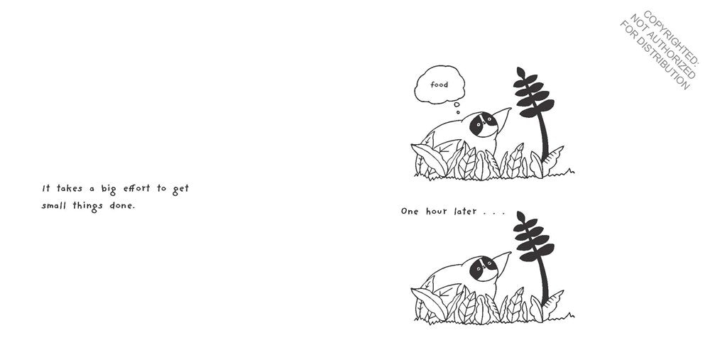 A Sloth's Guide to Mindfulness