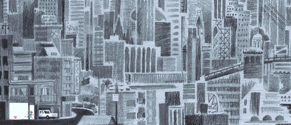 Have You Ever Seen a Flower?