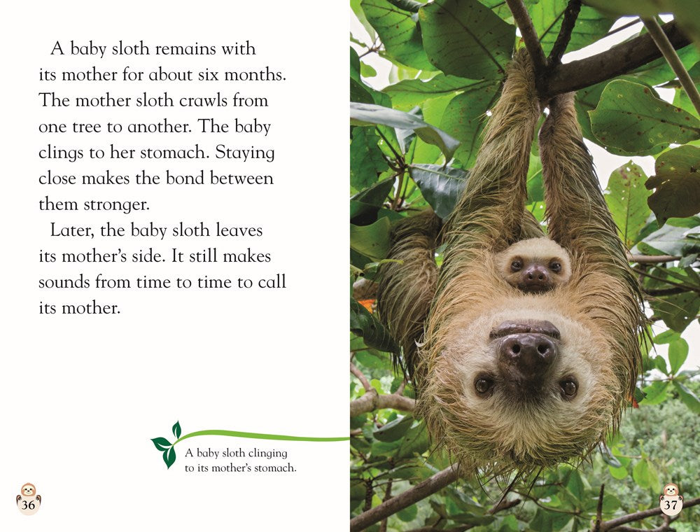 DK Readers Level 2: Sloths