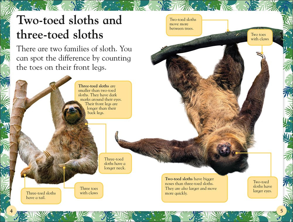 DK Readers Level 2: Sloths