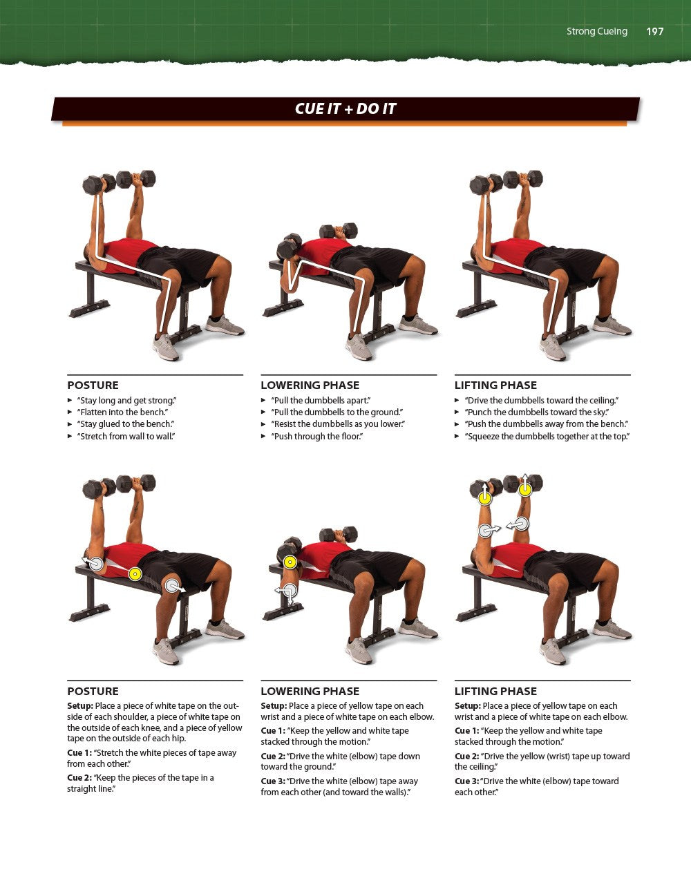 The Language of Coaching