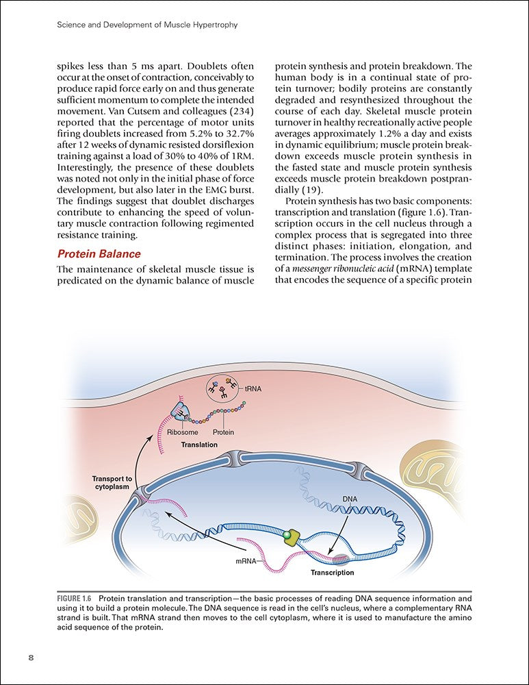 Science and Development of Muscle Hypertrophy
