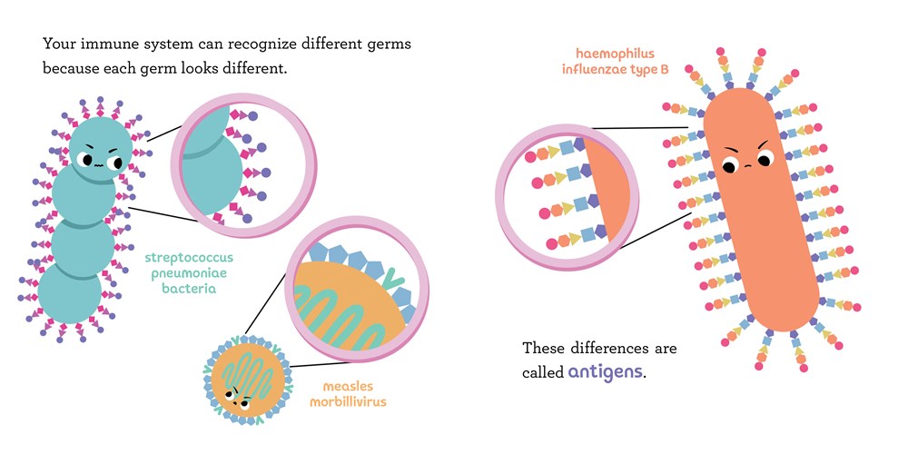 Baby Medical School: Vaccines
