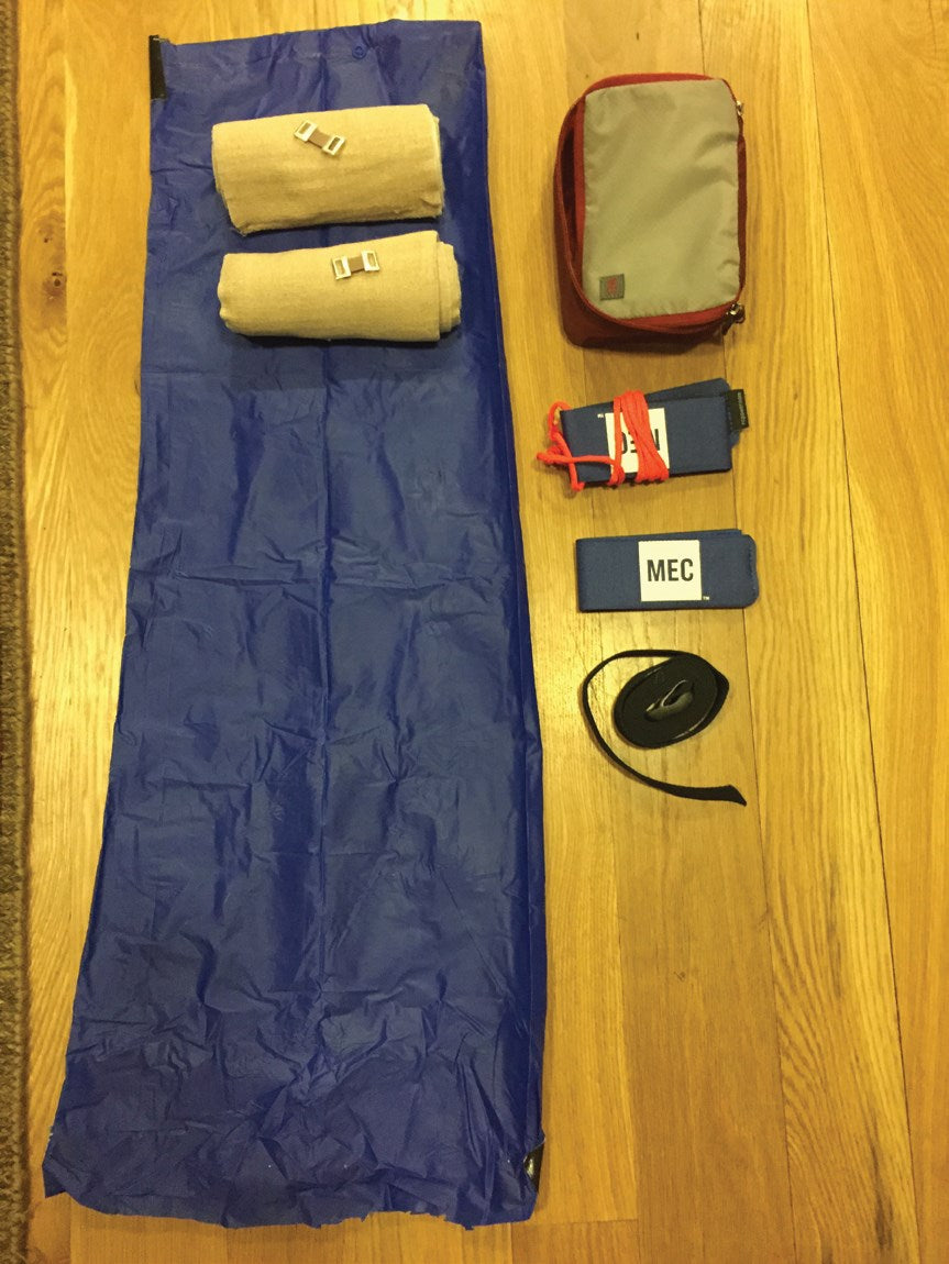 The Ski Guide Manual