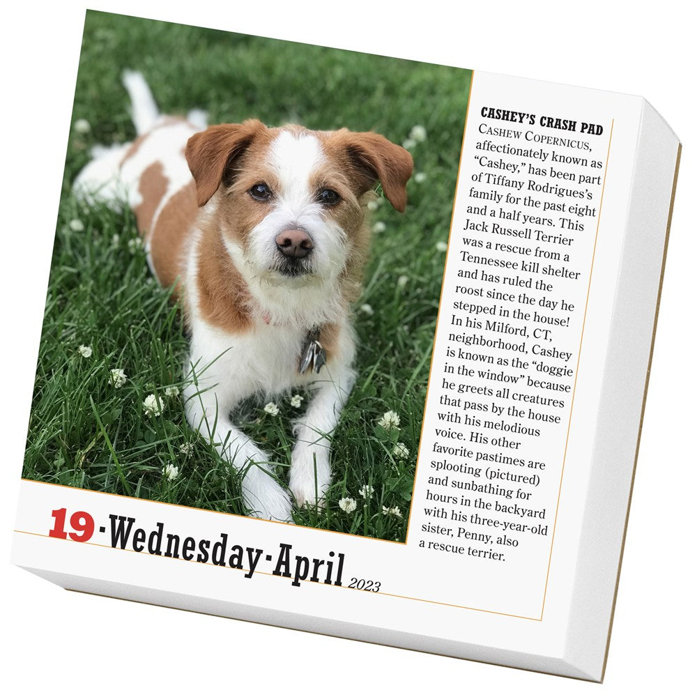 365 Dogs Page-A-Day Calendar 2023