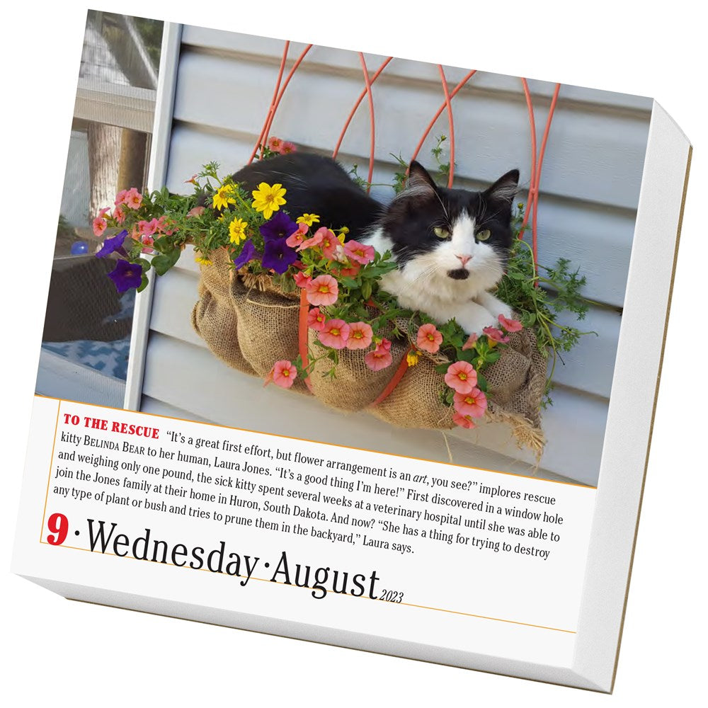 365 Cats Page-A-Day Calendar 2023