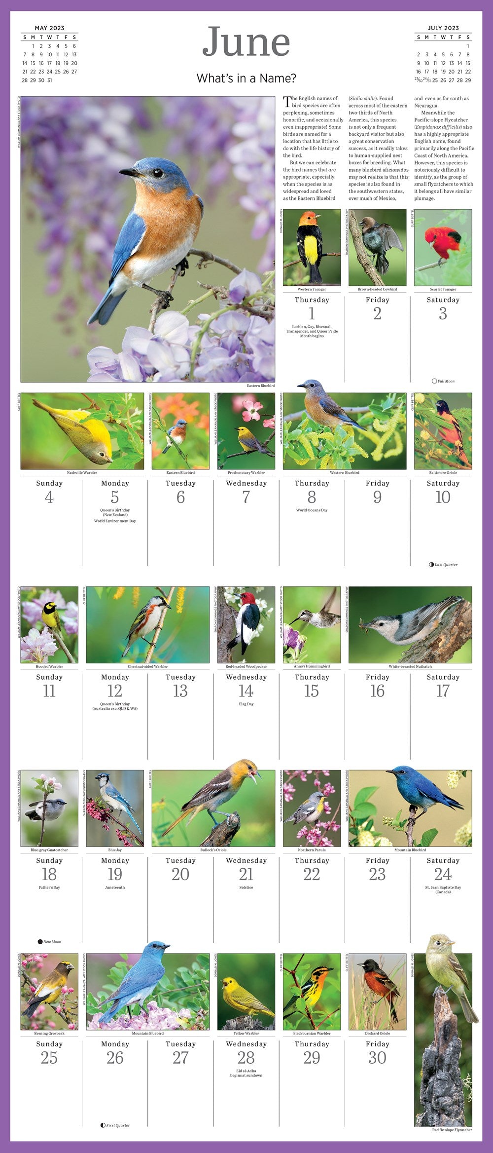 Audubon Songbirds and Other Backyard Birds Picture-A-Day Wall Calendar 2023