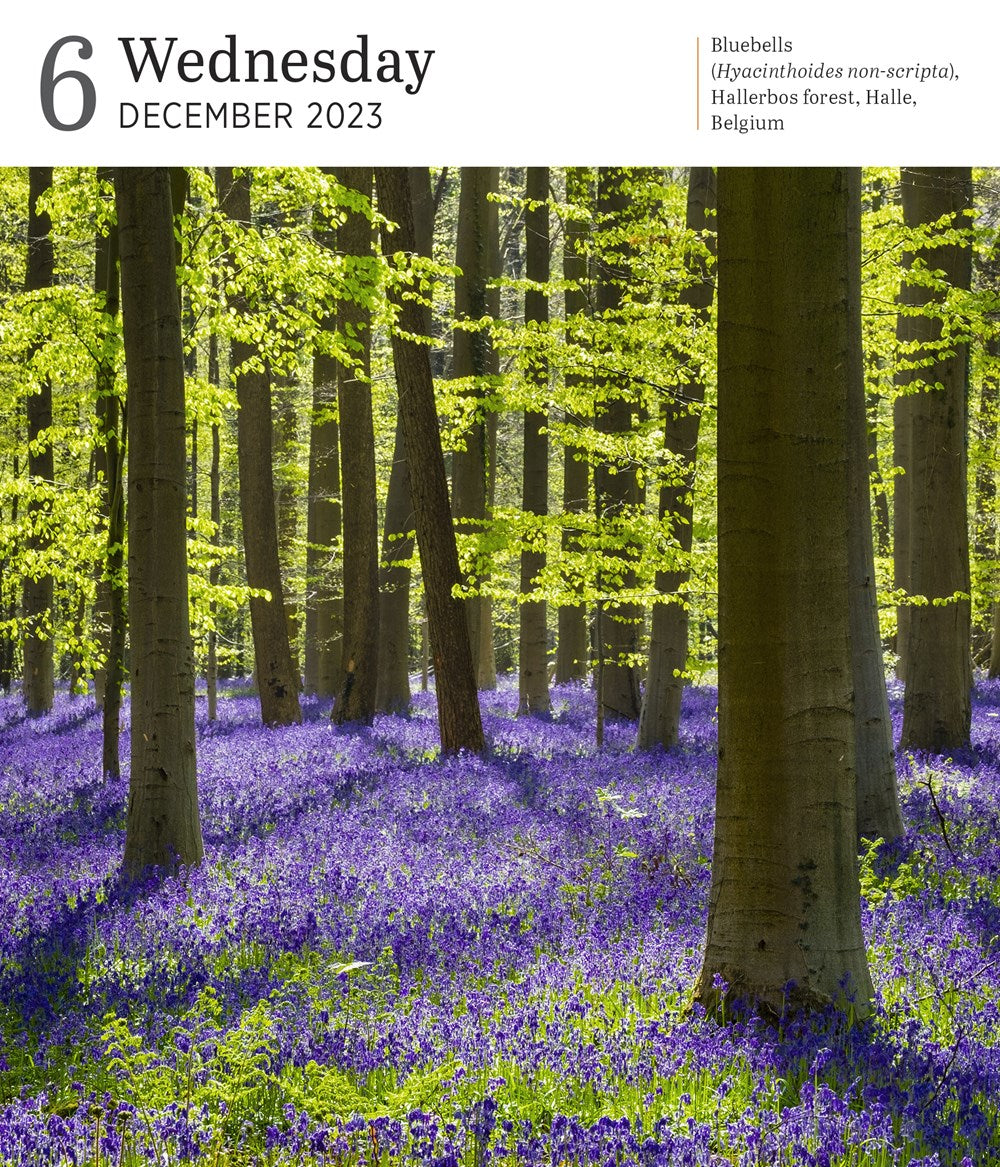 Audubon Nature Page-A-Day Gallery Calendar 2023