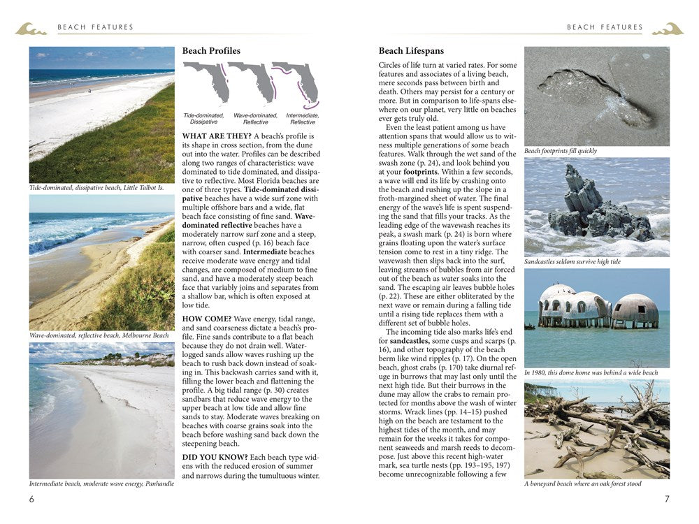 Florida's Living Beaches