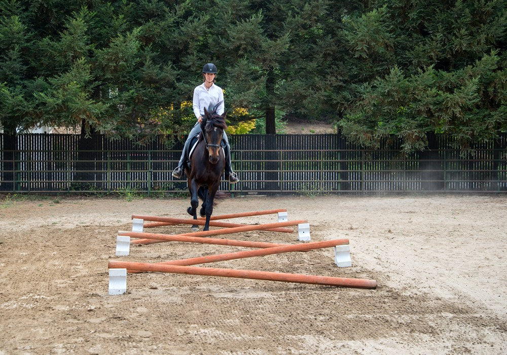 55 Corrective Exercises for Horses