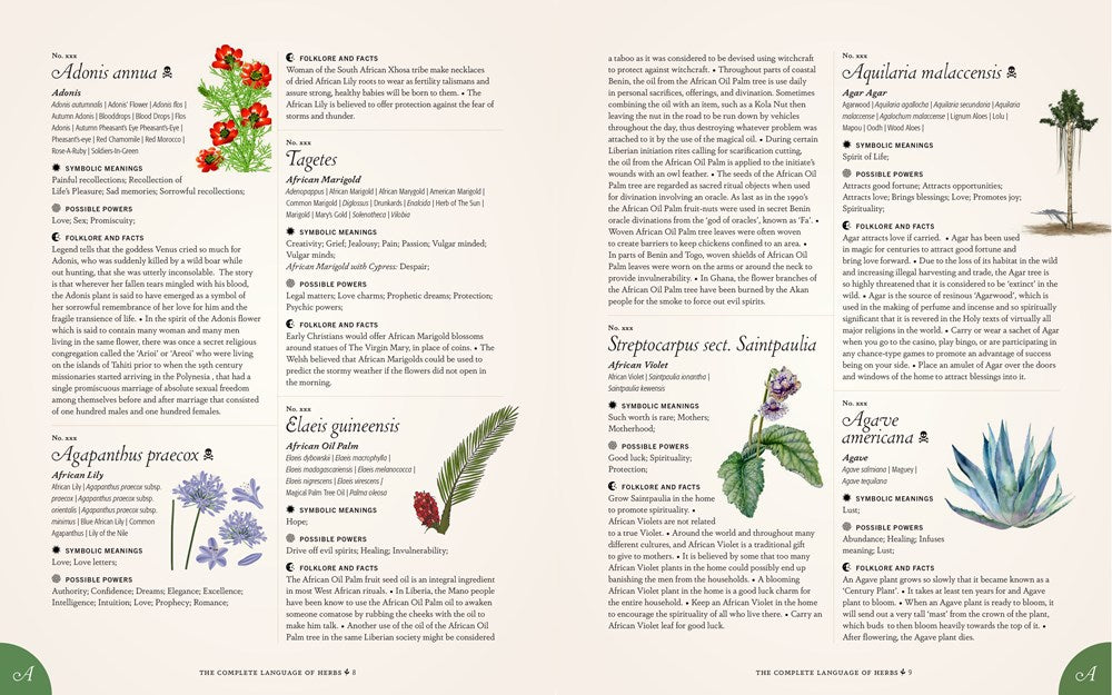 The Complete Language of Herbs