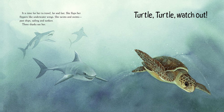 Turtle, Turtle, Watch Out!