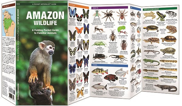 Amazon Wildlife